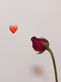 重生之并非唯一
