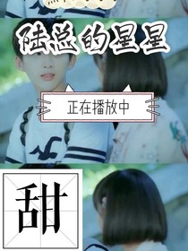 陸總的星星