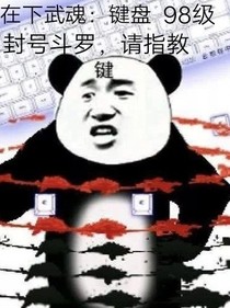斗1之我的武魂是键盘