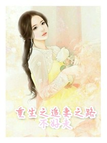 重生之追妻之路不好走