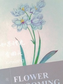 如果時光肯回頭