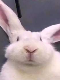 散落的月光