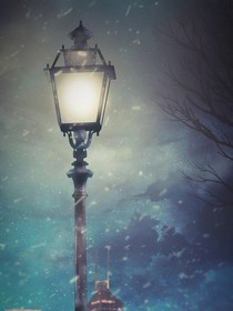 繁花烂漫，羽翼破空