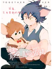 猫鼠学院——重逢，相见