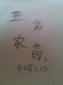 王者农药之荣耀之旅