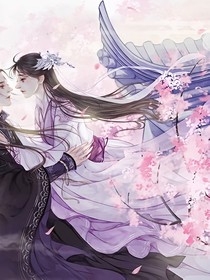 穿越后宮，當(dāng)王妃
