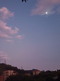 抓不住的月光