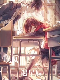 晚风遇星辰