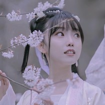 报告王爷，王妃又想逃跑啦