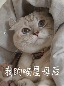 我的喵星母后