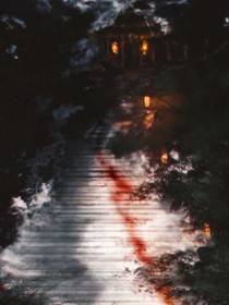 倾泽