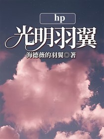 hp光明羽翼