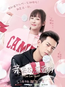 親愛的熱愛的第二季（吳皖夫婦）
