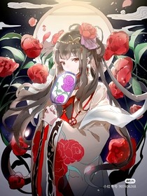 庆2之神秘组织