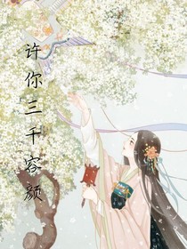 許你三千容顏