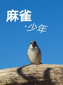 麻雀少年