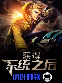 获得系统之后