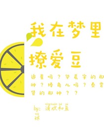 我在梦里撩爱豆
