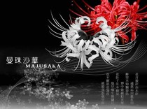 斗羅之神靈