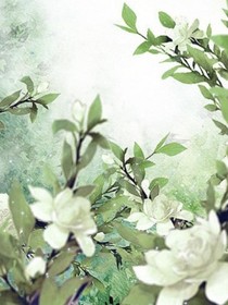 栀花