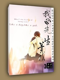 我的先生，等我