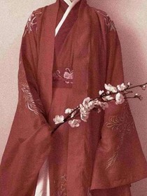 帝王的将军