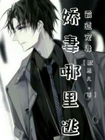 霸道寵妻：嬌妻哪里逃！