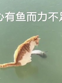零星散笔