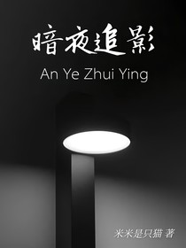 暗夜追影