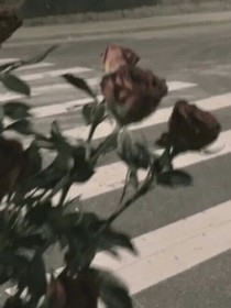 那些年的爱情（高中）