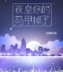 夜皇你的马甲掉了