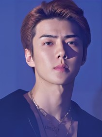 色昏：吴世勋是我男人