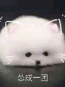 言爍