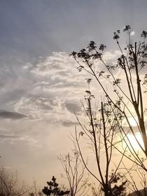 你若安好，便是晴天……？？！？？？？