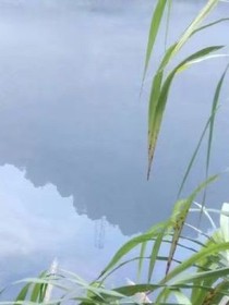 万人河山皆是你