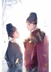 锦衣之下之间谍情