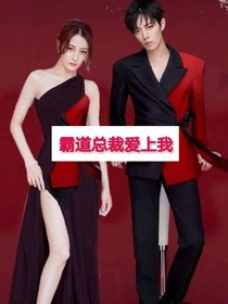 霸道總裁愛(ài)上我I