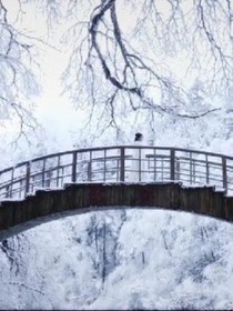 我记不住你的名字