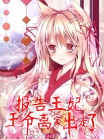 报告王妃，王爷又跑了