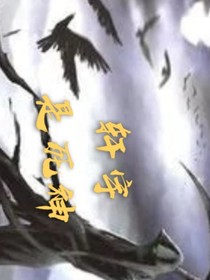 斗罗——轩宇是死神