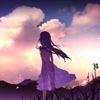兩個(gè)總裁在追我