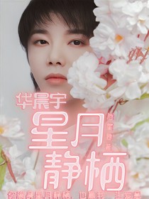 华晨宇：星月静栖-d328