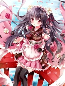 精靈夢葉羅麗之特別版