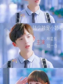時(shí)光與你都很甜之陸少獨(dú)寵小嬌妻
