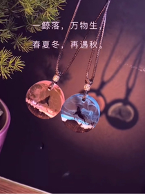 我的斗1生活