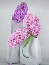 雪花片