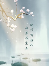 仙將集云錄