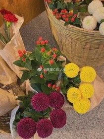 十一客栈