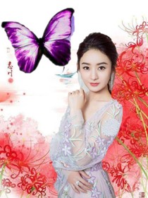 趙麗穎之穿越斗1