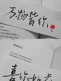 猎狐之小花讲解版
